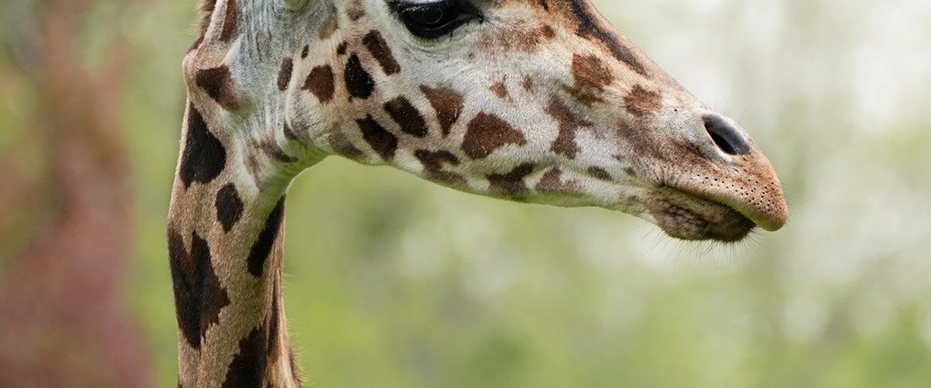 大发娱乐PG电子