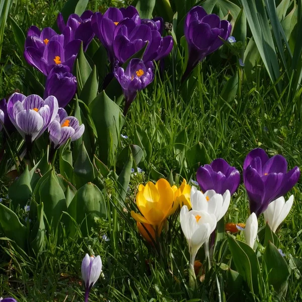 大发娱乐棋牌游戏